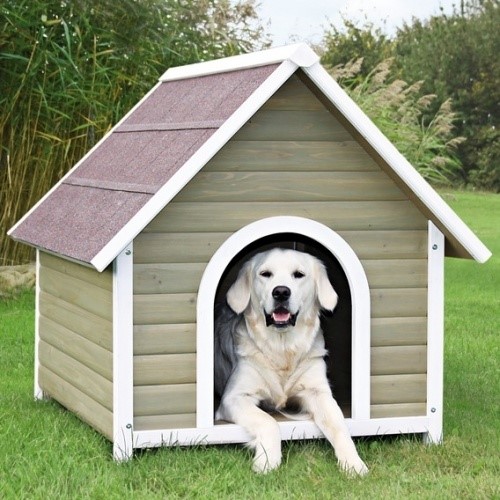 buy dog kennel